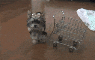 Buying Decision GIF