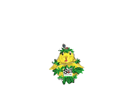 Animation Sticker by Surf Soup®