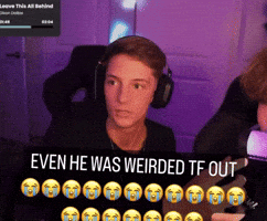Twitch Streamer Wtf GIF by KoiJay