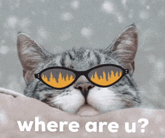 Cat GIF