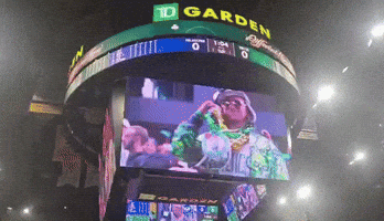 Fan Boston GIF