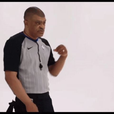 Sga Nba Refs GIF
