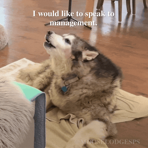 Sad Sleep GIF by Moose Lodge Senior Pet Sanctuary