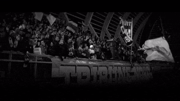 Amiens SC GIF