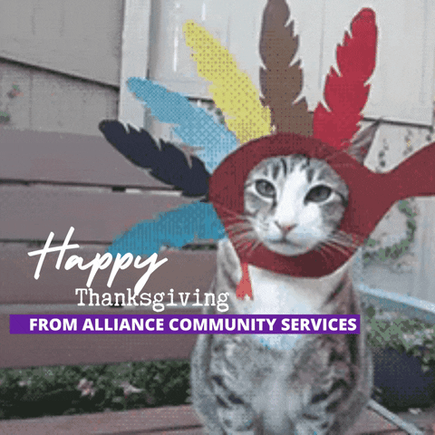 Thanksgiving Thank You GIF by Alliance Community Services