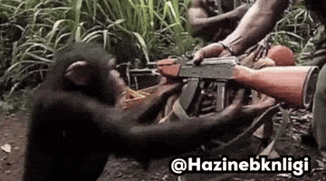 Monkey Gorilla GIF