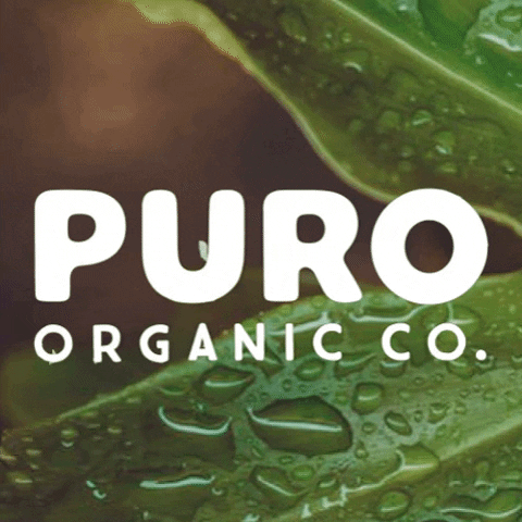 armazemcerealista GIF