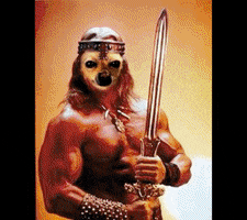 Meme GIF