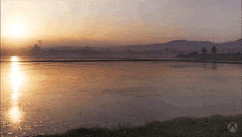 Rice Paddy Sunset GIF by Xbox