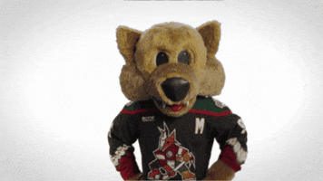 Number 1 Sport GIF by NHL