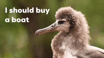 What To Do Bucket List GIF by U.S. Fish and Wildlife Service