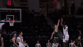 Basketball Terriers GIF by Wofford Athletics