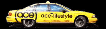 ace Lifestyle GIF