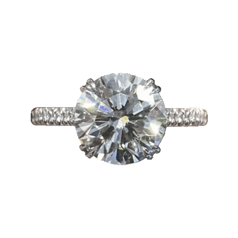 Lauren b best sale moissanite