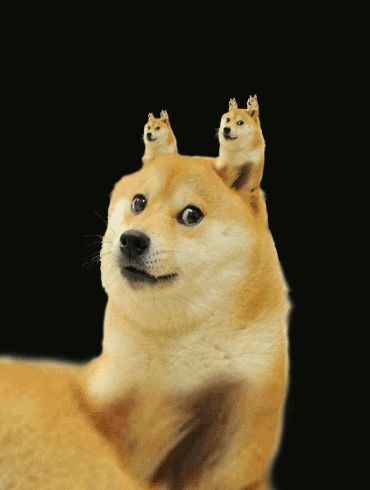 Whyisitsohardtosendgifsoninstagram GIF