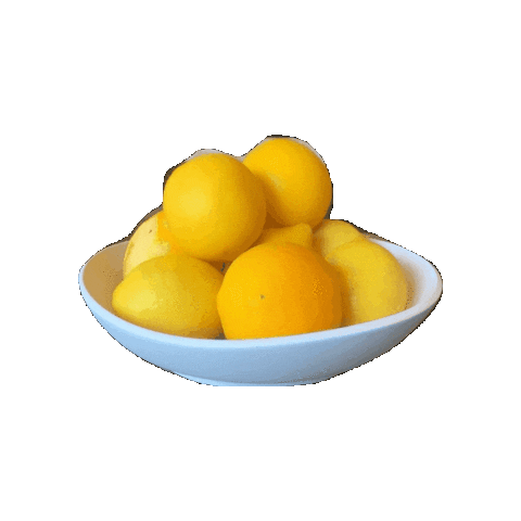 westhaus Event Production Company Sticker