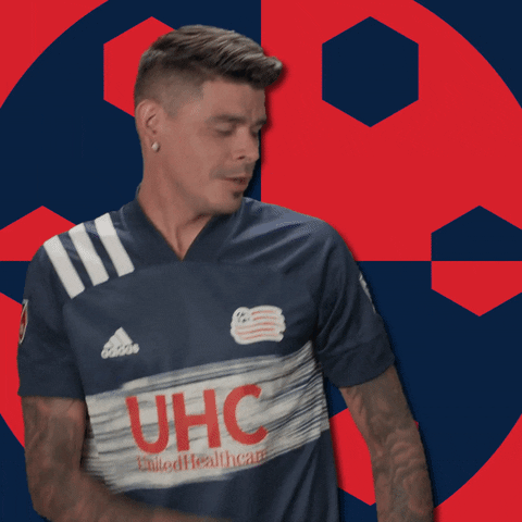 Brush Off New England GIF by Major League Soccer