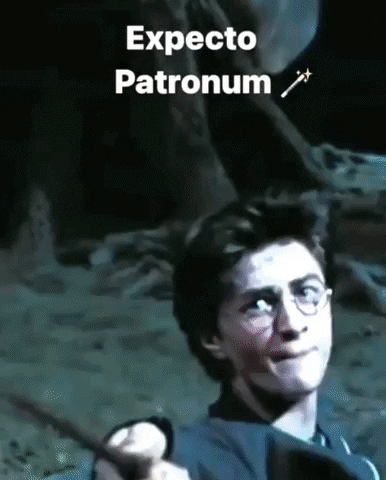Harry Potter Magic GIF