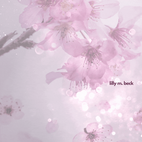 Cherry Blossom Love GIF by Lilly - Autorin