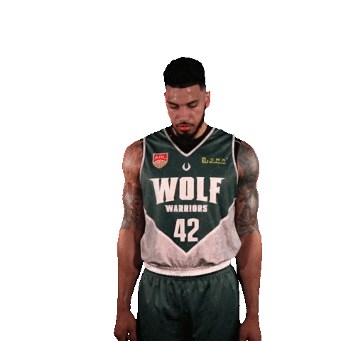 Asean Basketball League Sticker by ABL