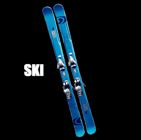 Ski GIF by Chalet.nl Wintersport