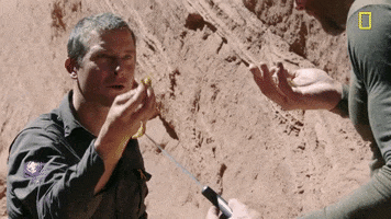 Joel Mchale GIF by National Geographic Channel