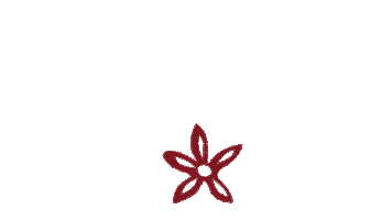 Beach Flowers Sticker by Blooming Bean Coffee Roasters