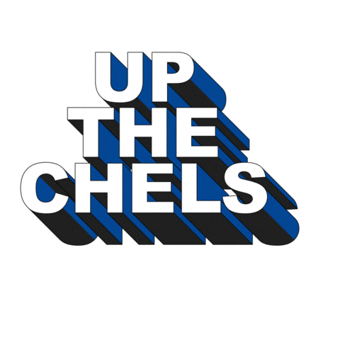 Premier League Football Sticker