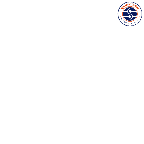 Synaptic Cycles Sticker