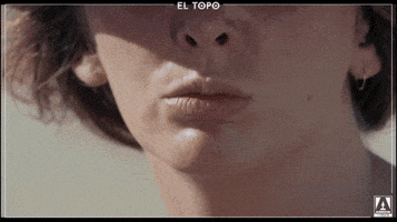 Alejandro Jodorowsky Movie GIF by Arrow Video