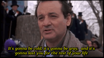 Bill Murray Cinema GIF