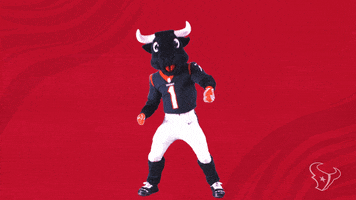 Excited Nfl GIF by Houston Texans