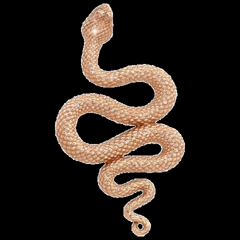 Anatometal gold jewelry snake piercing GIF