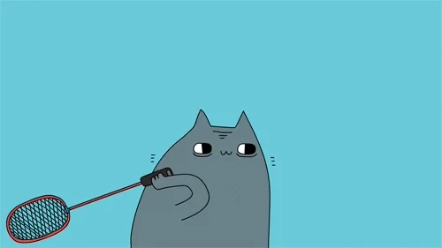 Comedy Central Cat GIF