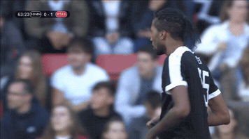 alezodendaal poet GIF