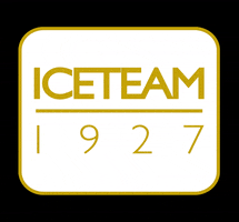 Iceteam1927 italian gelato gelato artigianale iceteam 1927 gelato maker GIF