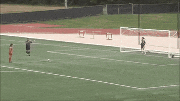 Soccer Save GIF by SIUE Cougars