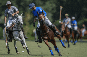 MaragataPolo GIF
