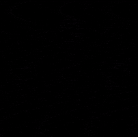 Prestige Detailing Miami GIF
