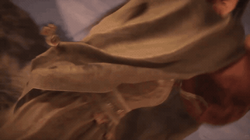 Hype Trailer GIF