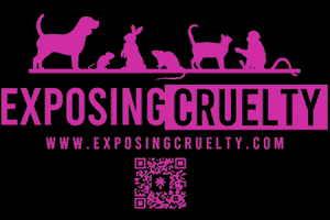ExposingCruelty GIF