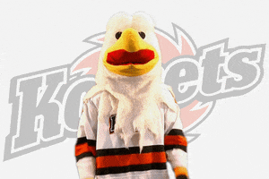 hockey bird GIF by Fort Wayne Komets