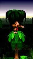 200.gif