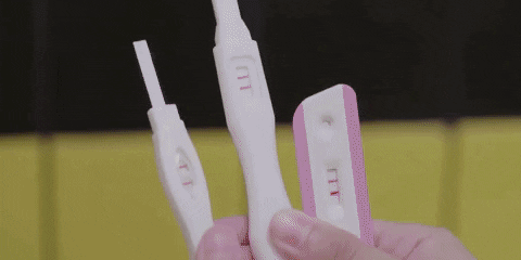 Drama GIF