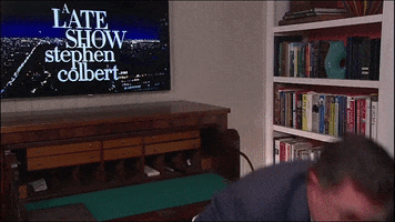 Stephen Colbert Dog GIF by The Late Show With Stephen Colbert