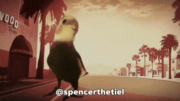 Instagram Bird GIF