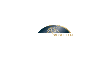 Flanderschristmasjumping Sticker by Jumping Mechelen