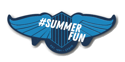 Fly-Inn Beach Summer Sticker by Magnetic