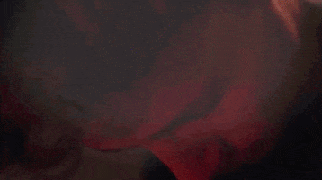 Zeta GIF