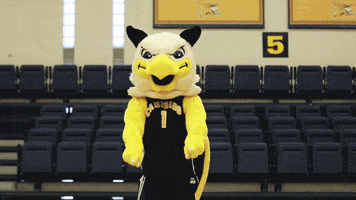 Excited Stand Up GIF by Canisius Athletics